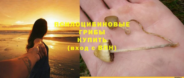 альфа пвп Горняк