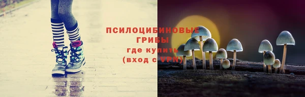 а пвп мука Горно-Алтайск