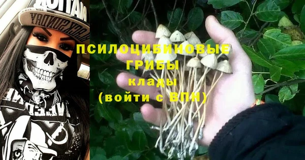 а пвп мука Горно-Алтайск