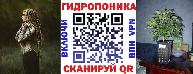Шишки марихуана индика  хочу наркоту  Петровск-Забайкальский 
